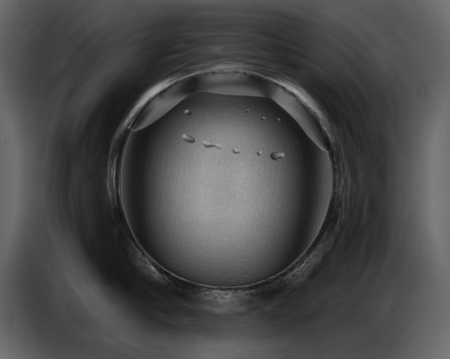 X0000087740910200705071050