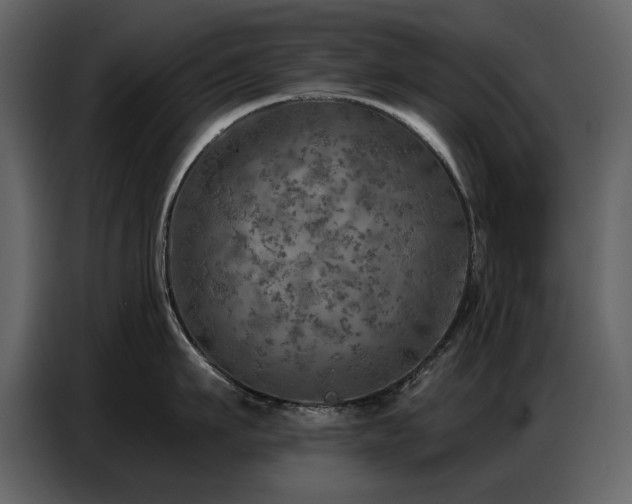 X0000087740911200705071050