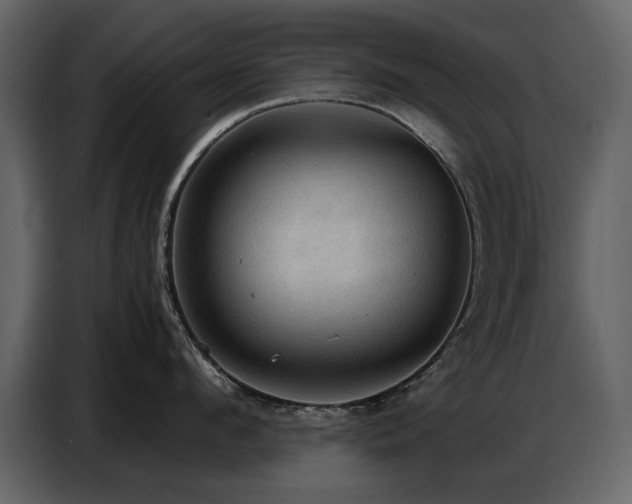 X0000087740912200705071050