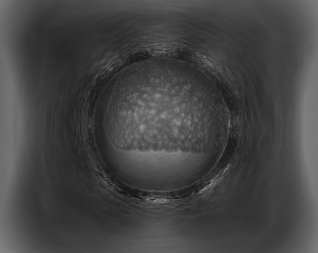 X0000087740913200705071049