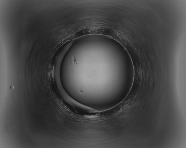 X0000087740914200705071049