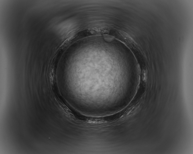 X0000087740915200705071049