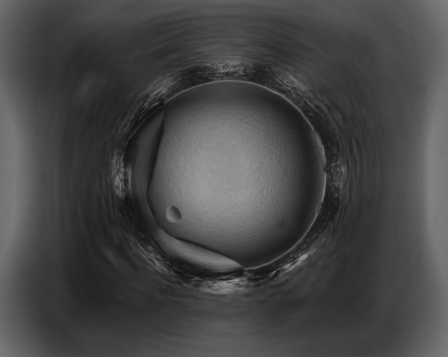 X0000087740916200705071049