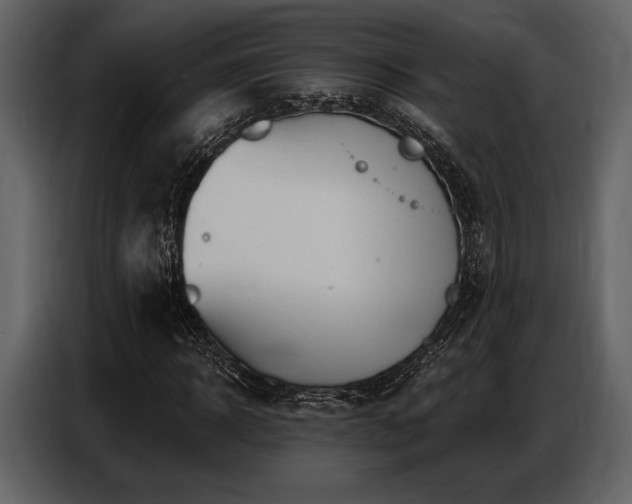 X0000087740918200705071049
