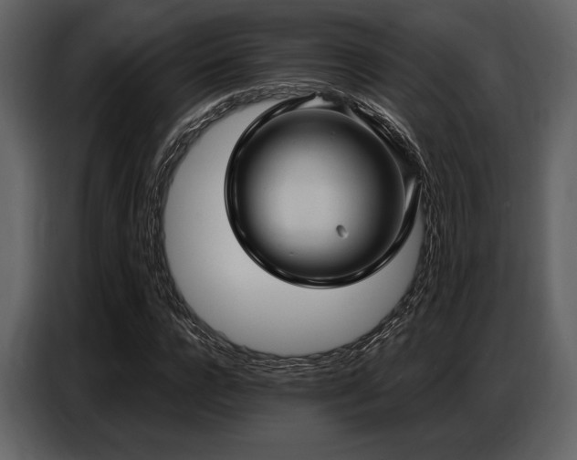 X0000087740920200705071049
