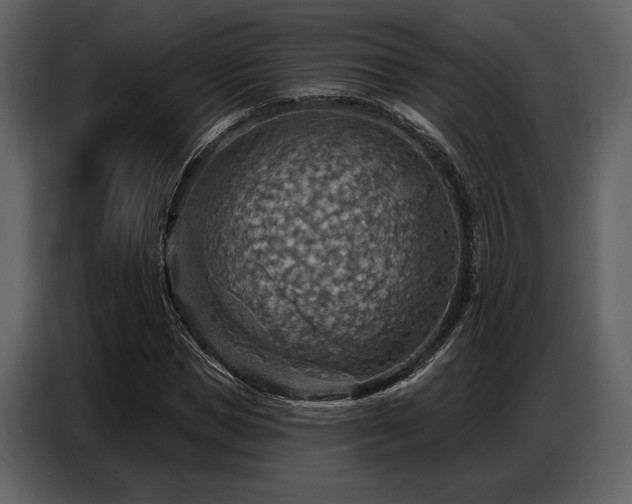 X0000087740921200705071049