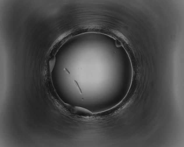 X0000087740922200705071049