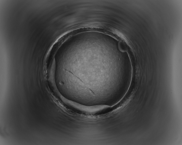 X0000087740923200705071049