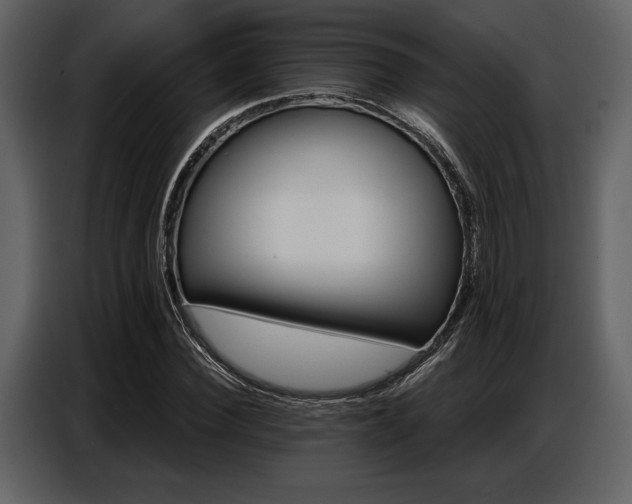 X0000087740924200705071049