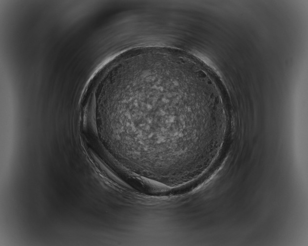 X0000087740925200705071049
