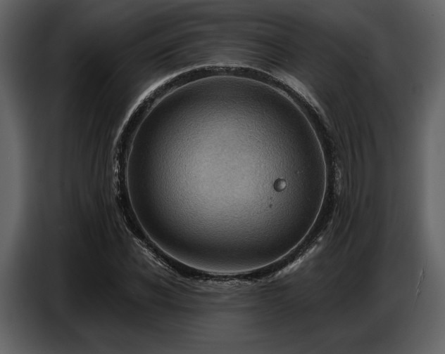 X0000087740926200705071049