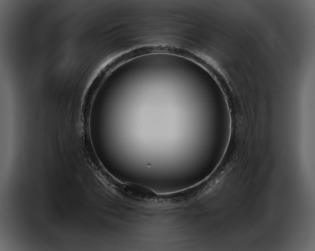X0000087740927200705071049