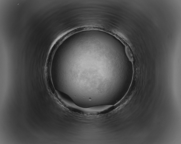 X0000087740928200705071049