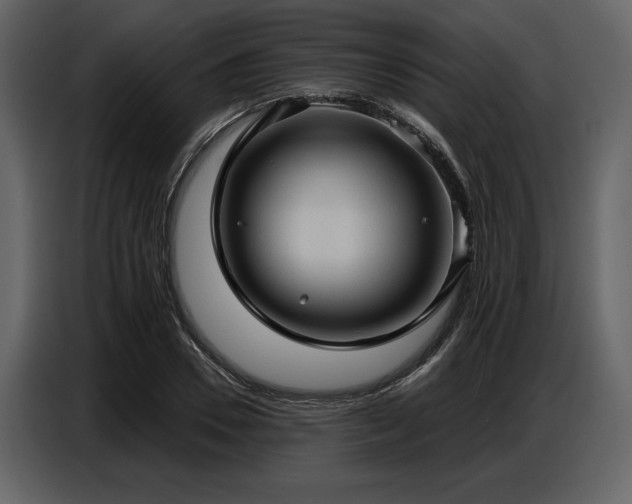 X0000087740930200705071049