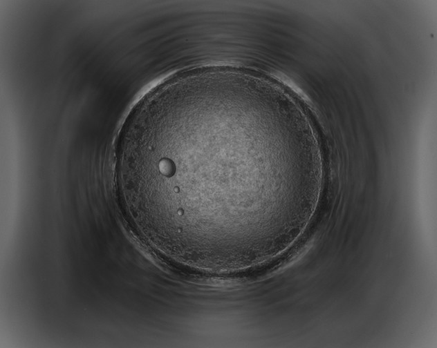 X0000087740933200705071049