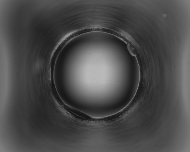 X0000087740934200705071049