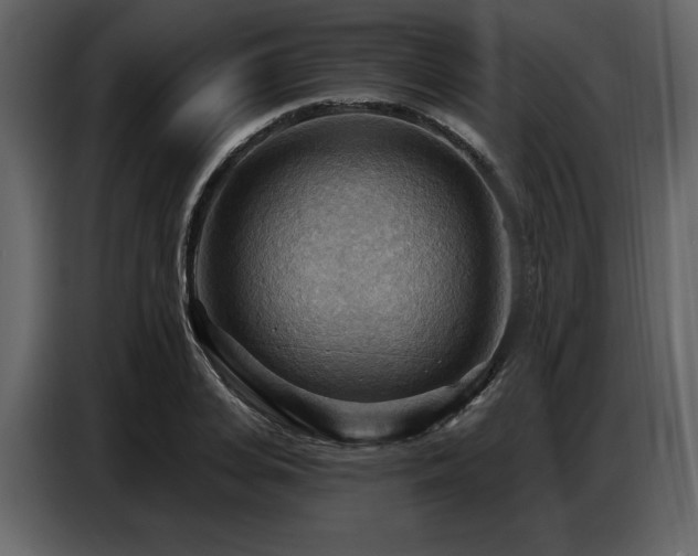 X0000087740935200705071049
