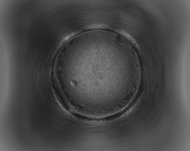 X0000087740937200705071050