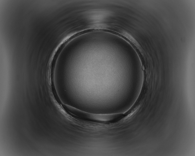 X0000087740939200705071050