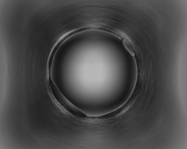 X0000087740940200705071050