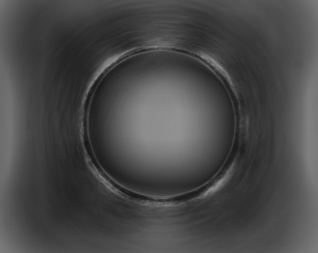 X0000087740941200705071050