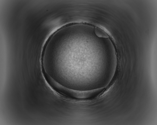 X0000087740943200705071050