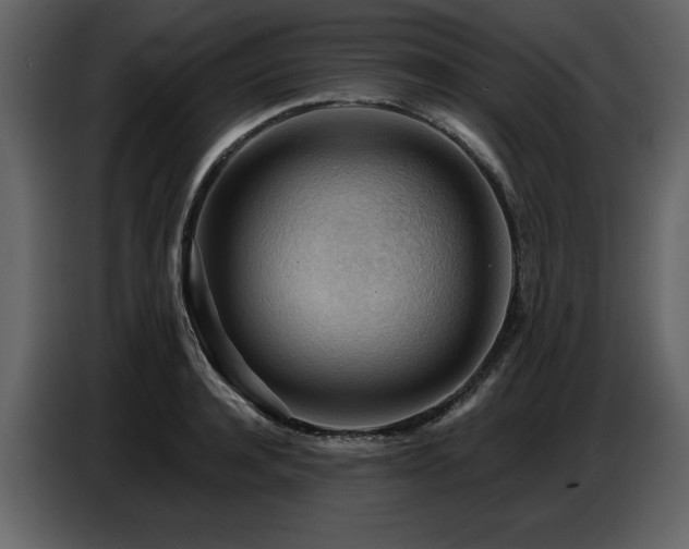 X0000087740944200705071050