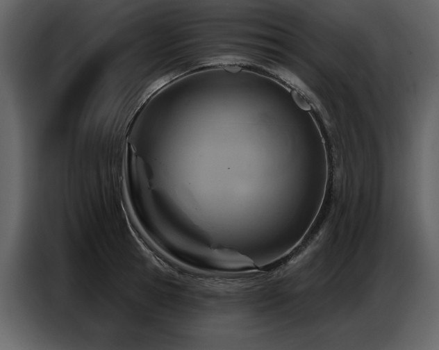 X0000087740945200705071050