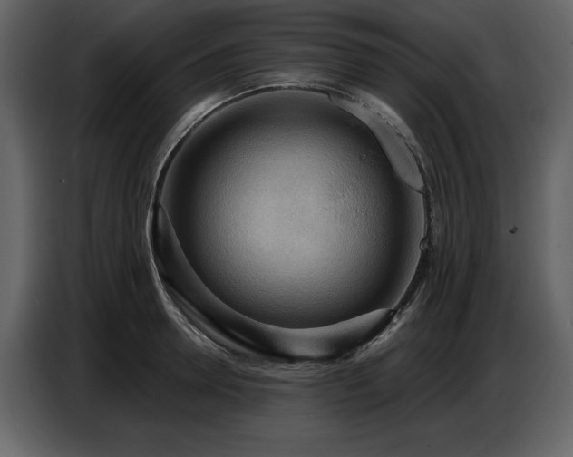 X0000087740946200705071050