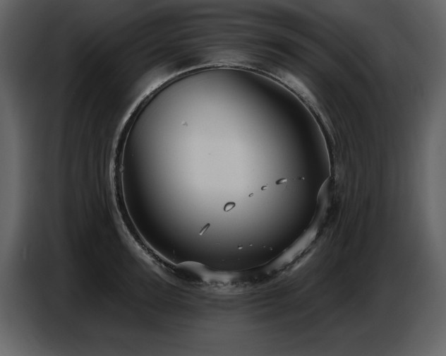 X0000087740947200705071050