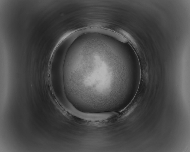 X0000087740948200705071050