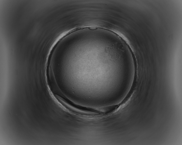 X0000087740949200705071050