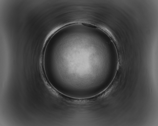 X0000087740952200705071050