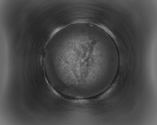 X0000087740953200705071050