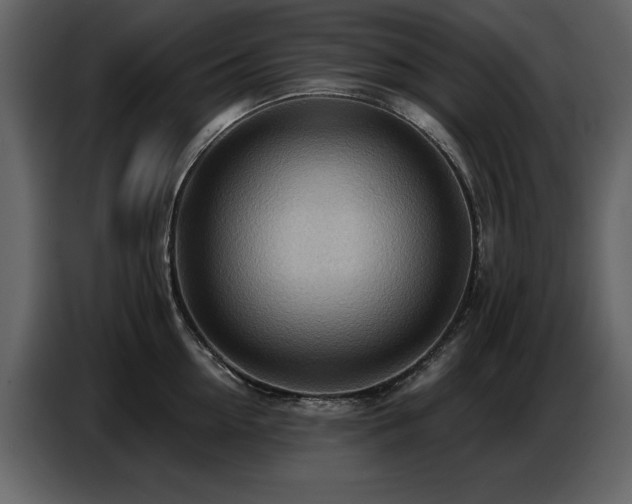 X0000087740954200705071050