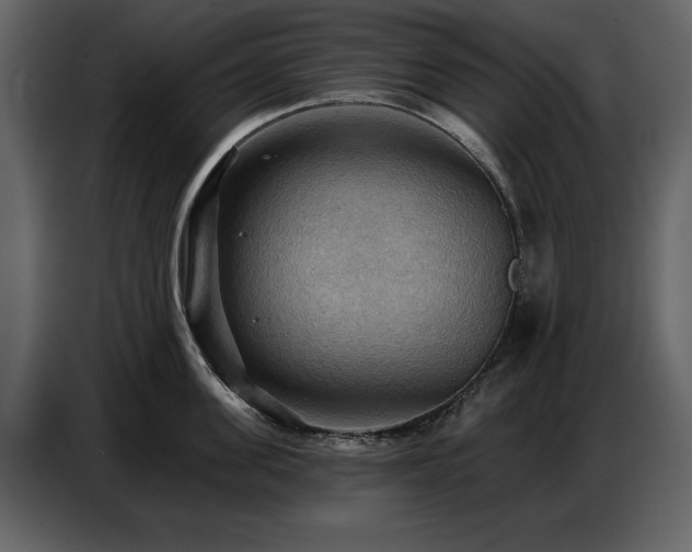 X0000087740955200705071050