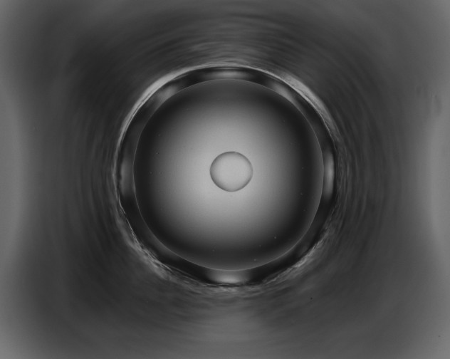 X0000087740956200705071050