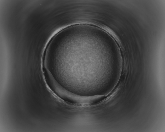 X0000087740958200705071050