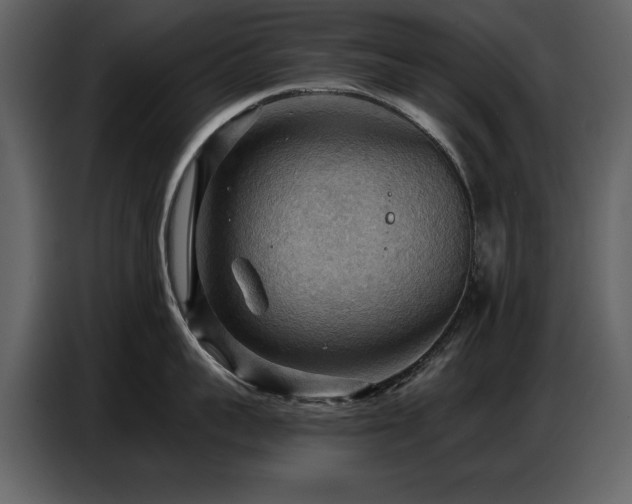 X0000087740959200705071050