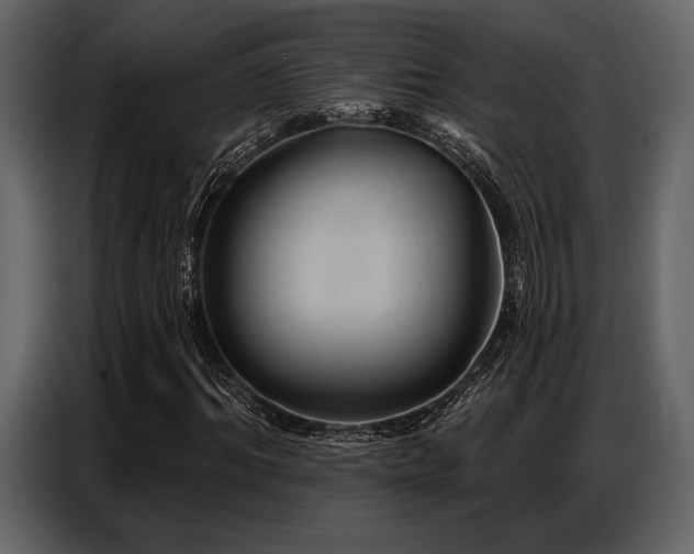 X0000087740964200705071049