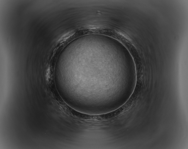 X0000087740966200705071049