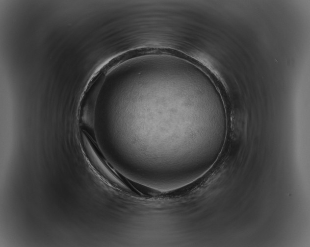 X0000087740972200705071049