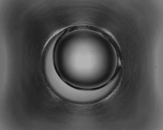 X0000087740973200705071049