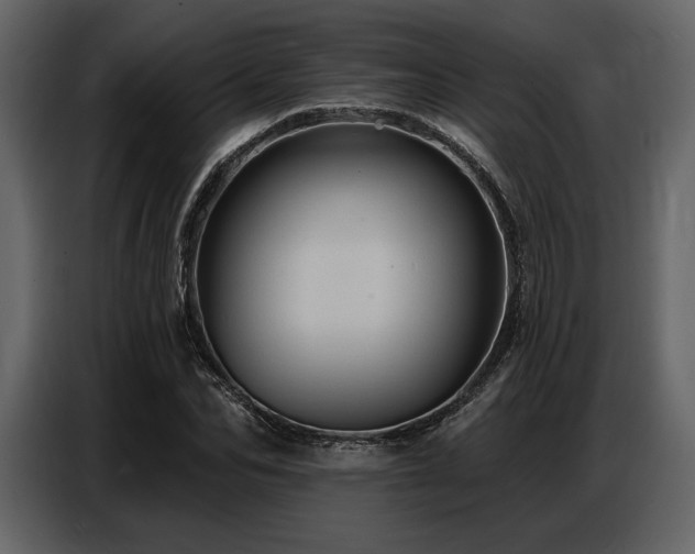 X0000087740974200705071049