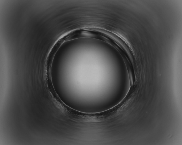 X0000087740976200705071049
