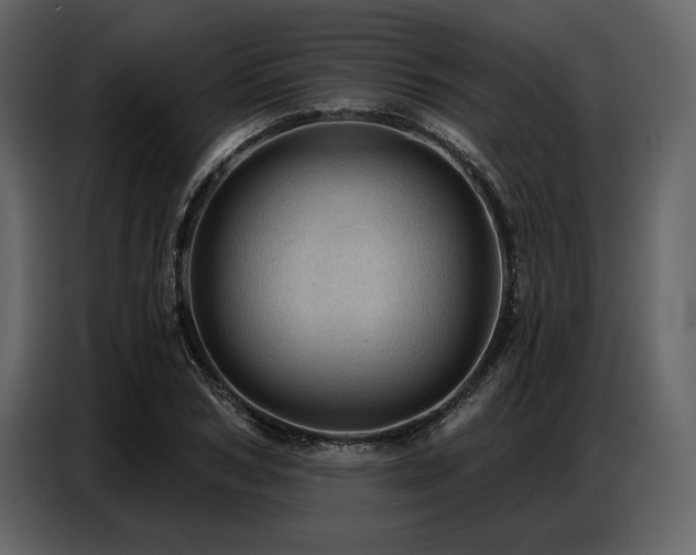 X0000087740978200705071049