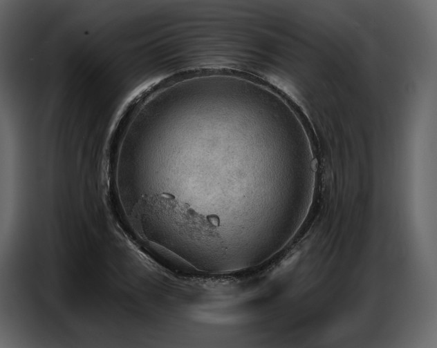 X0000087740979200705071049