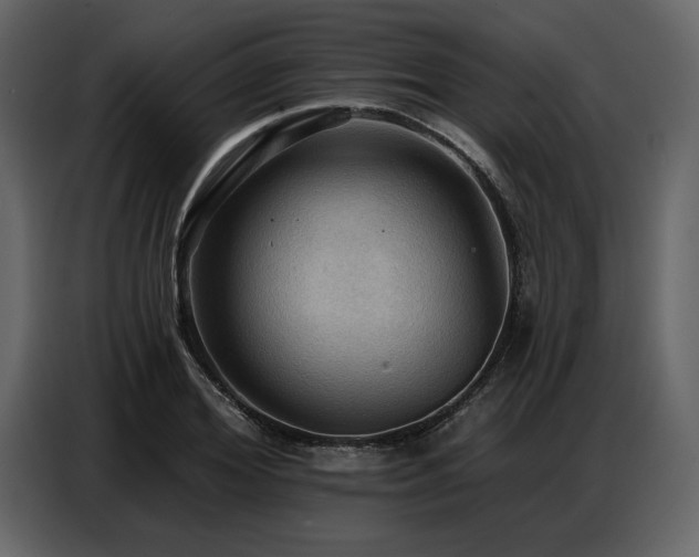 X0000087740980200705071049