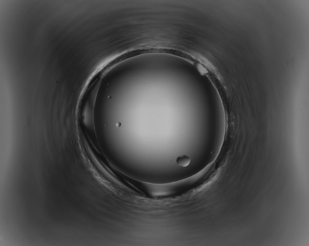 X0000087740981200705071049