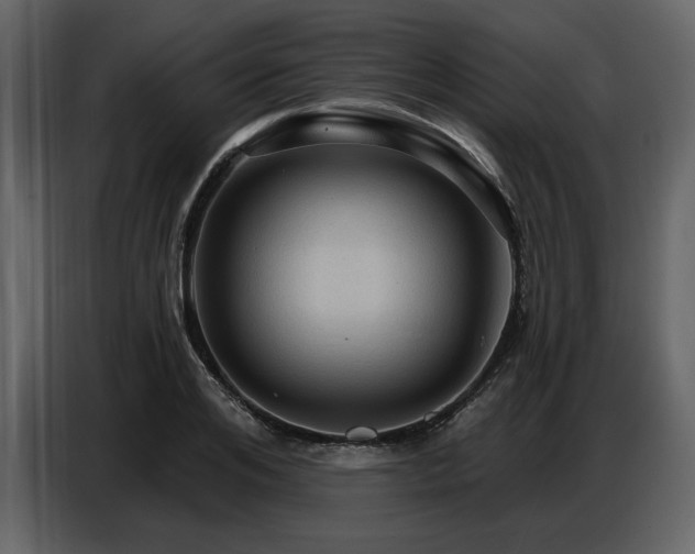 X0000087740984200705071049